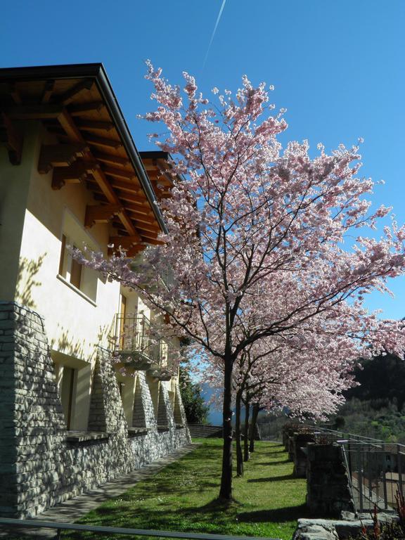 Villa Primula ベッラージョ 部屋 写真